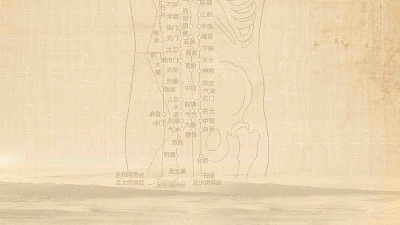 刮痧板尺寸里藏着哪些门道
