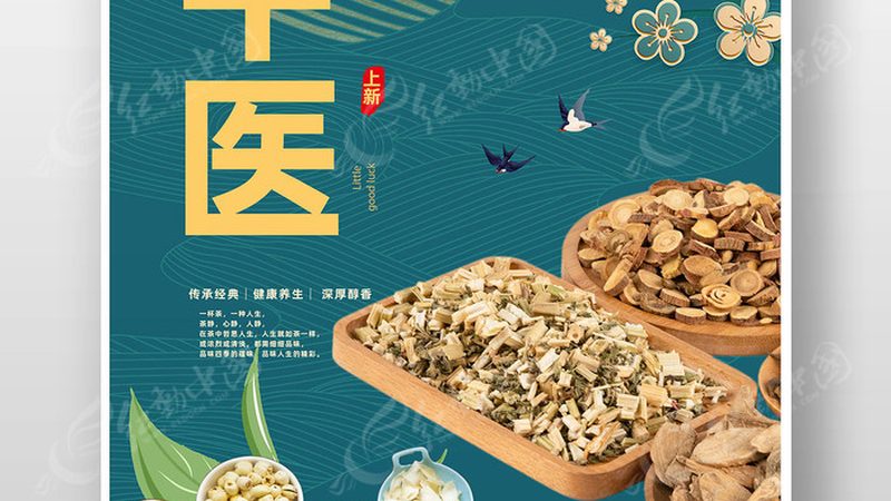 筋膜枪：如何从不同型号中挑选合适自己的按摩器**