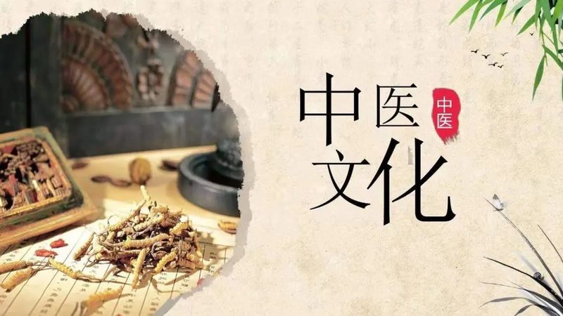 养生保健产品代工与贴牌：背后的奥秘与选择之道**